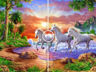 Preview: Diamond Painting Weisse Pferde am Strand